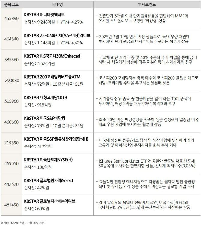 'kb자산운용'의 11월 etf 상품 투자 유망처 top 10 리스트.